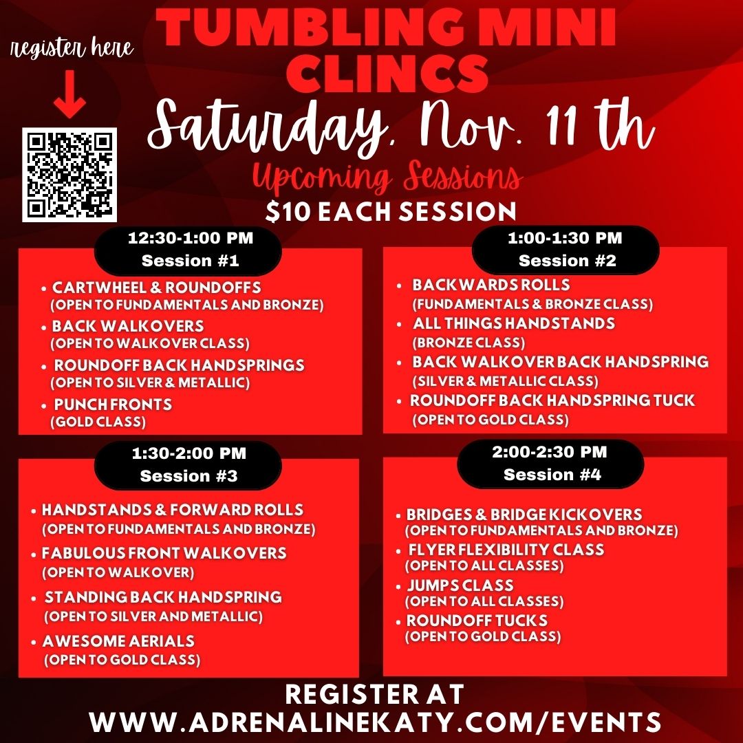 NOVEMBER-11TH-MINI-CLINIC